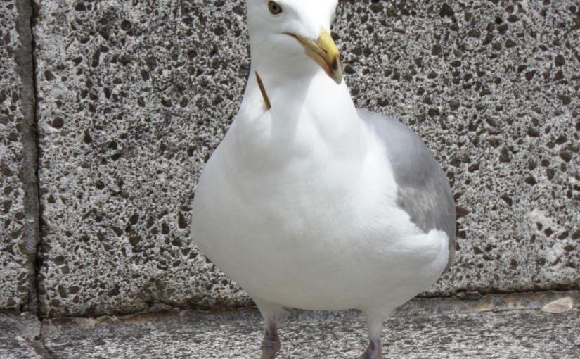 Unintended consequence