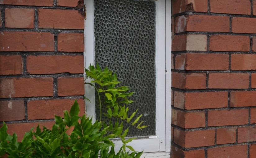 24/30 Summer growth (part&nbsp;2)