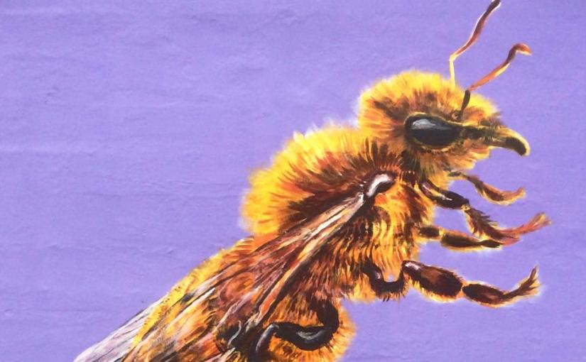 ATM, Millennium Square, Bristol, July 2015