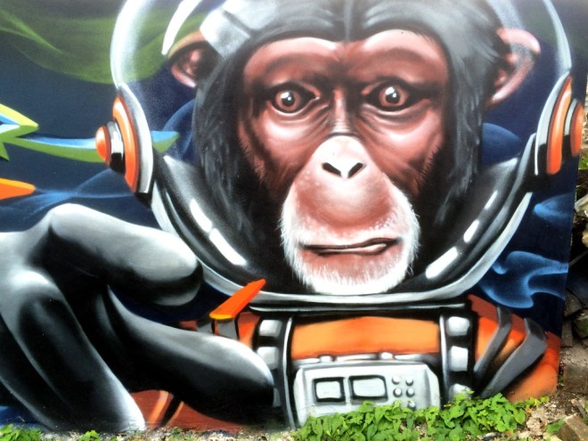 Zase and Dekor, York Street, Bristol, September 2015