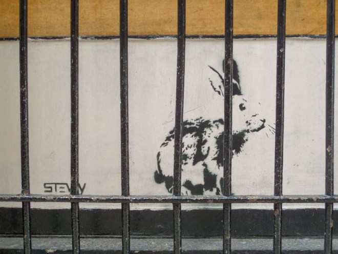 Stewy, Leonard Lane, Bristol, September 2015