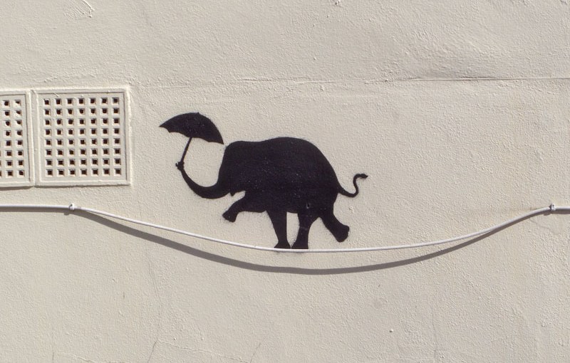 38. Dean Lane&nbsp;(1)