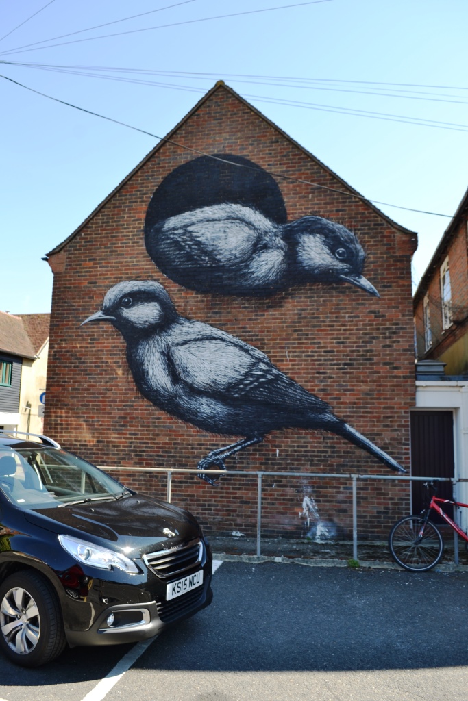 ROA, Baffins Lane Car Park, Chichester, August 2015