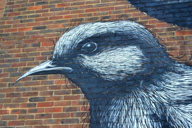 ROA, Baffins Lane Car Park, Chichester, August 2015