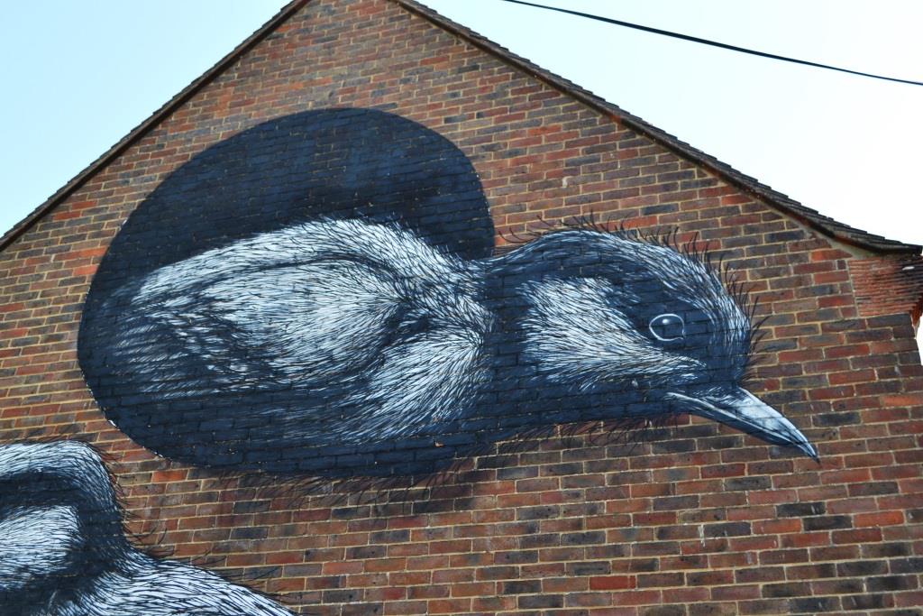 ROA, Baffins Lane Car Park, Chichester, August 2015