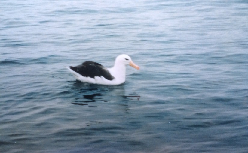 16. Scissors, Paper,&nbsp;Stone