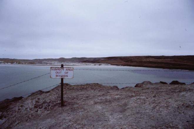 Penguin Walk, Falkland Islands, May 1988