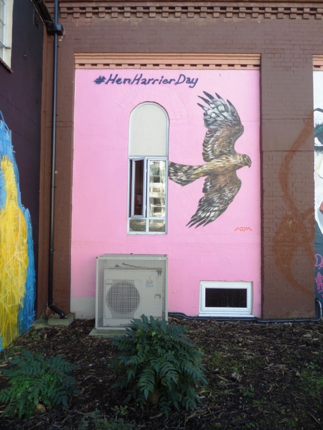 ATM, North Street, Bristol, January 2015