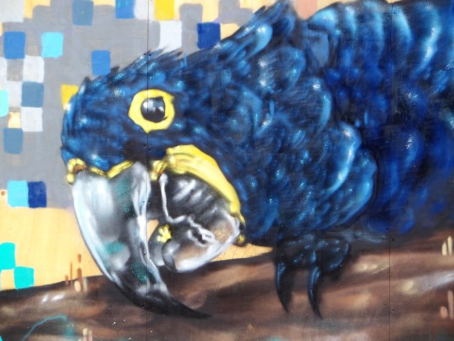 Aspire, Wilder Street, Bristol, May 2016