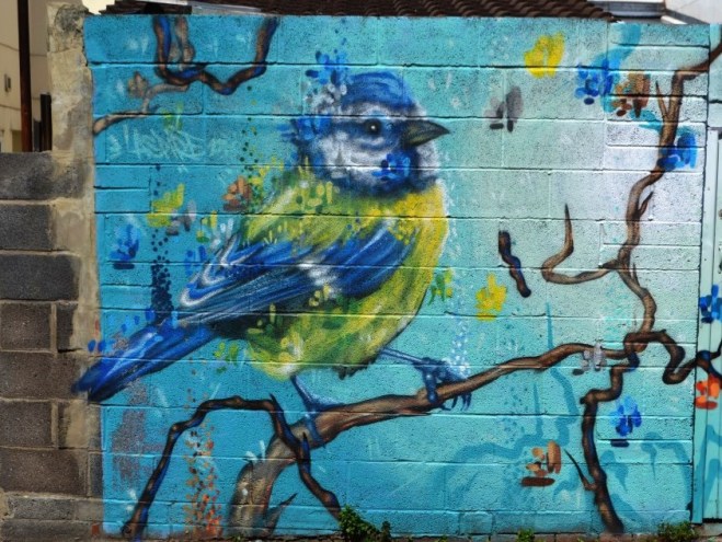 Aspire, blue tit, Devon Road, Bristol, May 2016