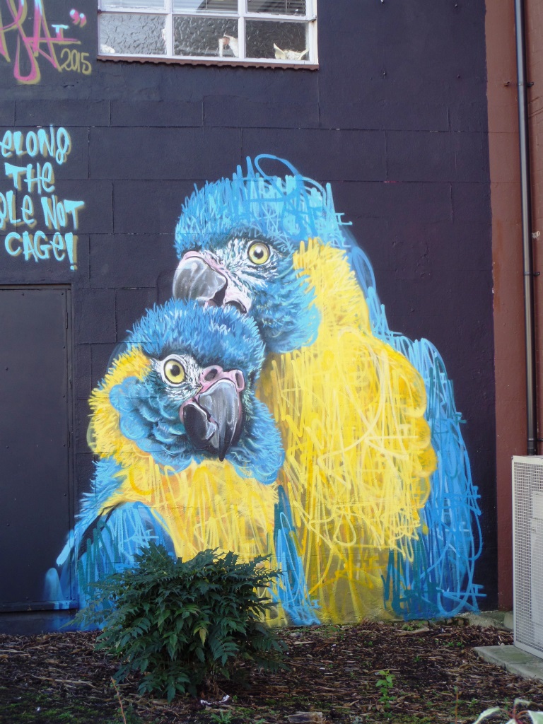 Louis Masai, North Street, Bristol, January 2016
