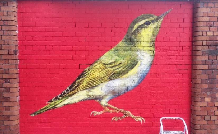 359. Upfest 2016&nbsp;(16)