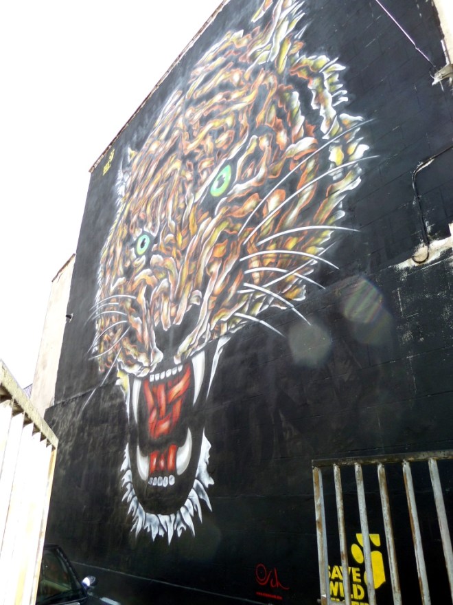 Osch, North Street, Bristol, September 2015