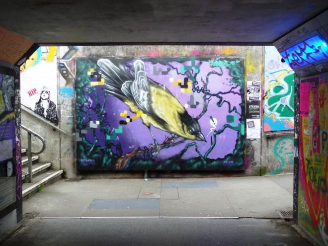 Aspire, The Bearpit, Bristol, August 2016