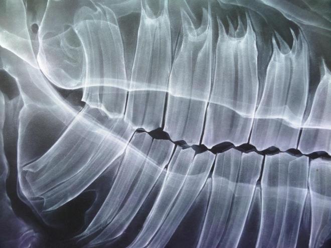 Shok 1, Upfest, North Street, Bristol, July 2016