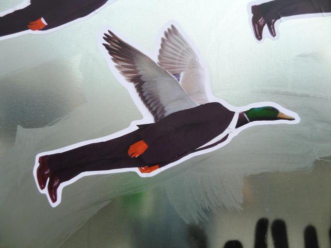 Face the Strange, Upfest, Bristol, July 2016