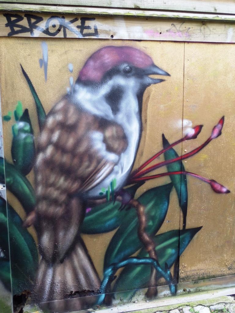 Aspire, Picton Lane, Bristol, June 2016