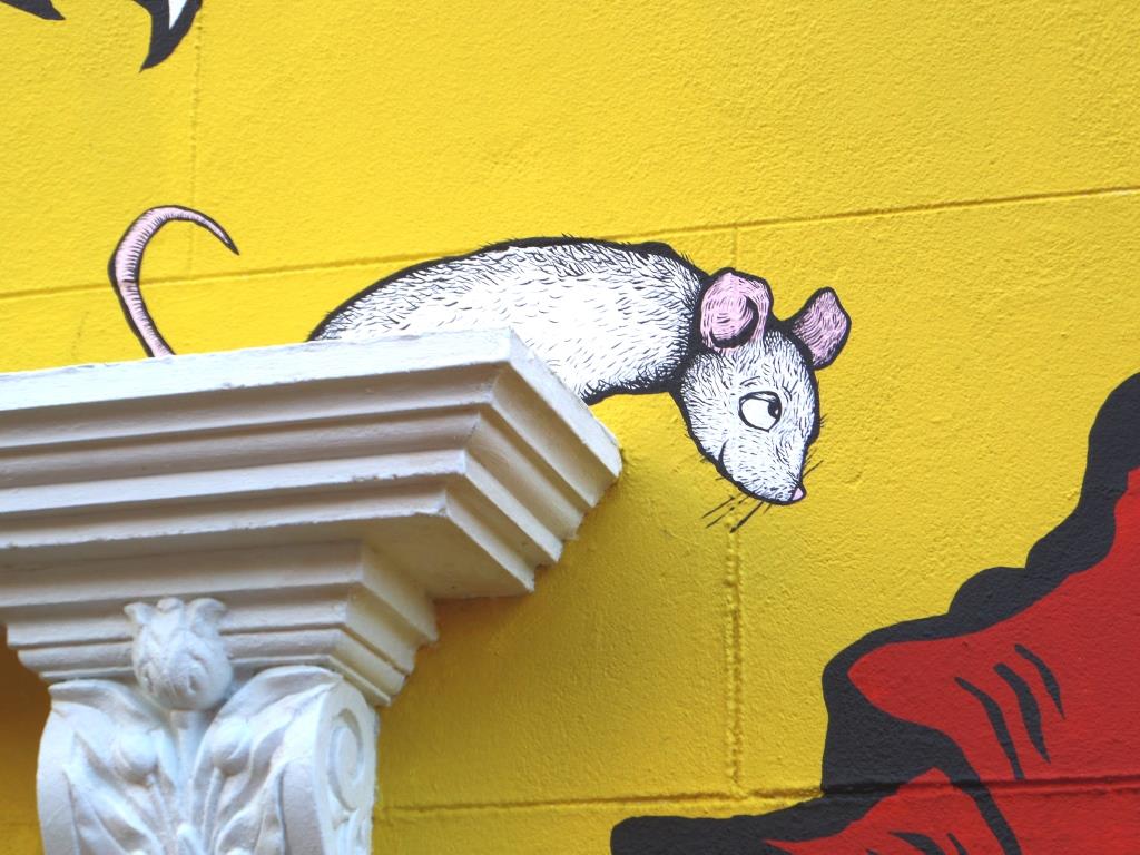 Alex Lucas, York Road, Bristol, December 2016