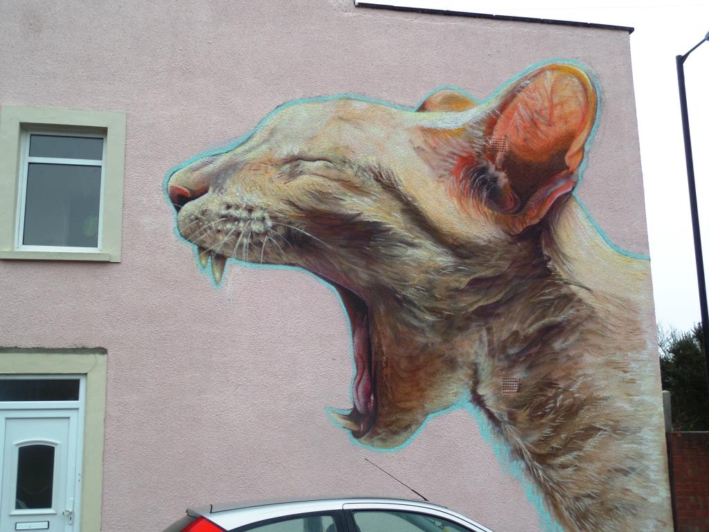 Boe and Irony, Upfest, Bristol, January 2017