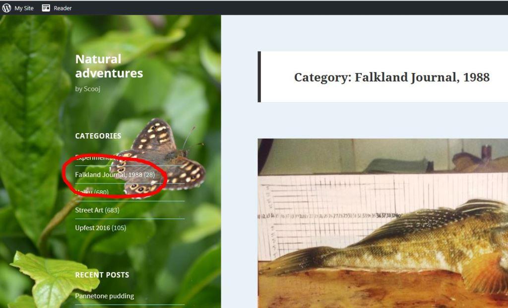 Falkland Islands diary homepage