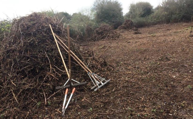 Environmental leave day