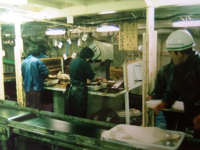 Crew on the Koie Maru 30 processing long-line caught fish, Falkland Islands 1988