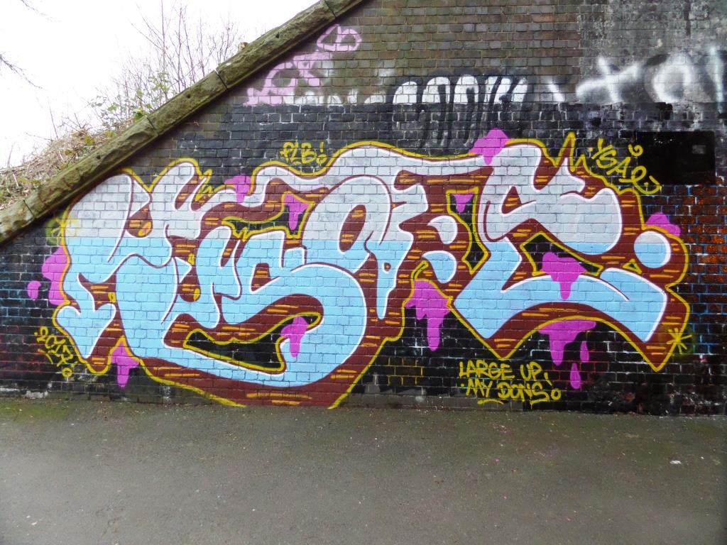 Whysayit, St Werburghs tunnel, Bristol, March 2017