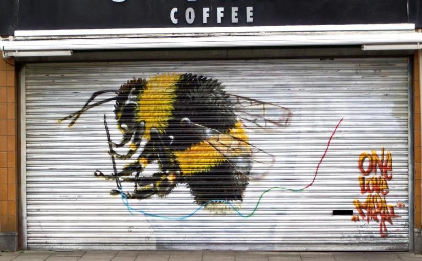 906. North Street Savana&nbsp;(2)