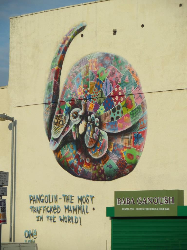 Louis Masai, Stapleton Road, Bristol, January 2017