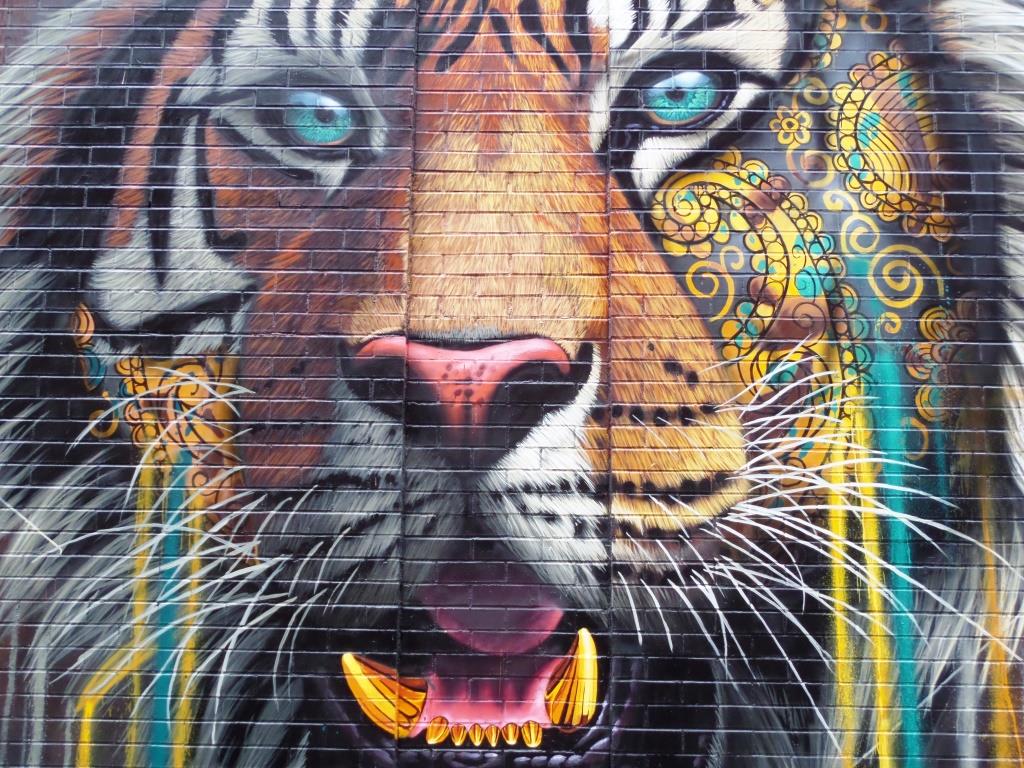 Sonny, SoHo, New York, October 2017