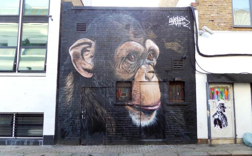 1217. Stucley Place, London&nbsp;(1)