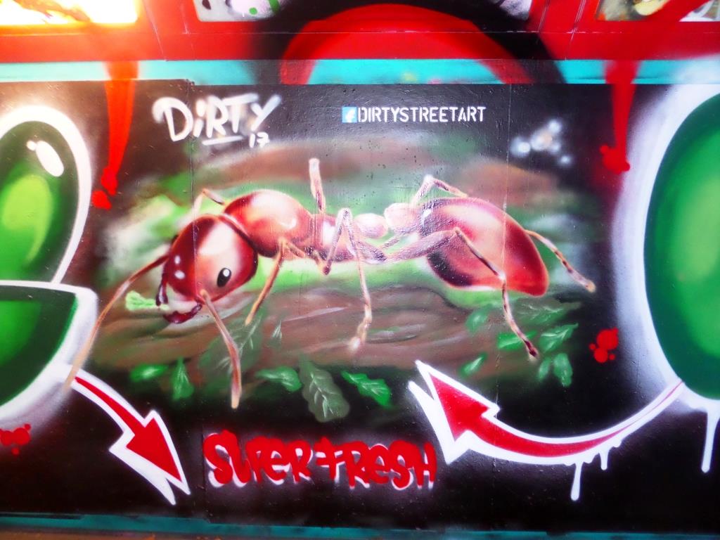 Decay and Dirtystreetart, The Bearpit, Bristol, November 2017