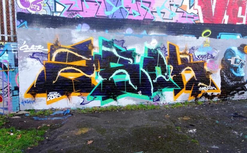 1383. Dean Lane skate park&nbsp;(114)