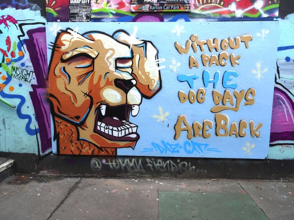 Daz Cat, The Bearpit, Bristol, April 2018
