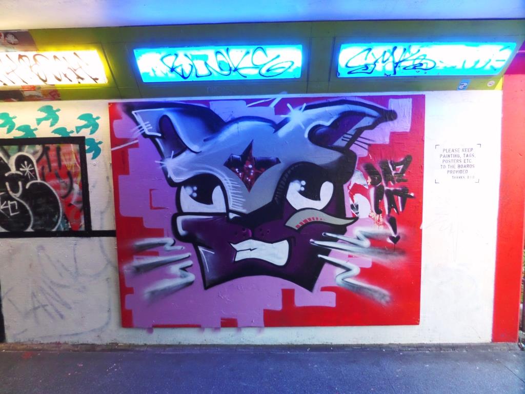 Daz Cat, The Bearpit, Bristol, November 2017