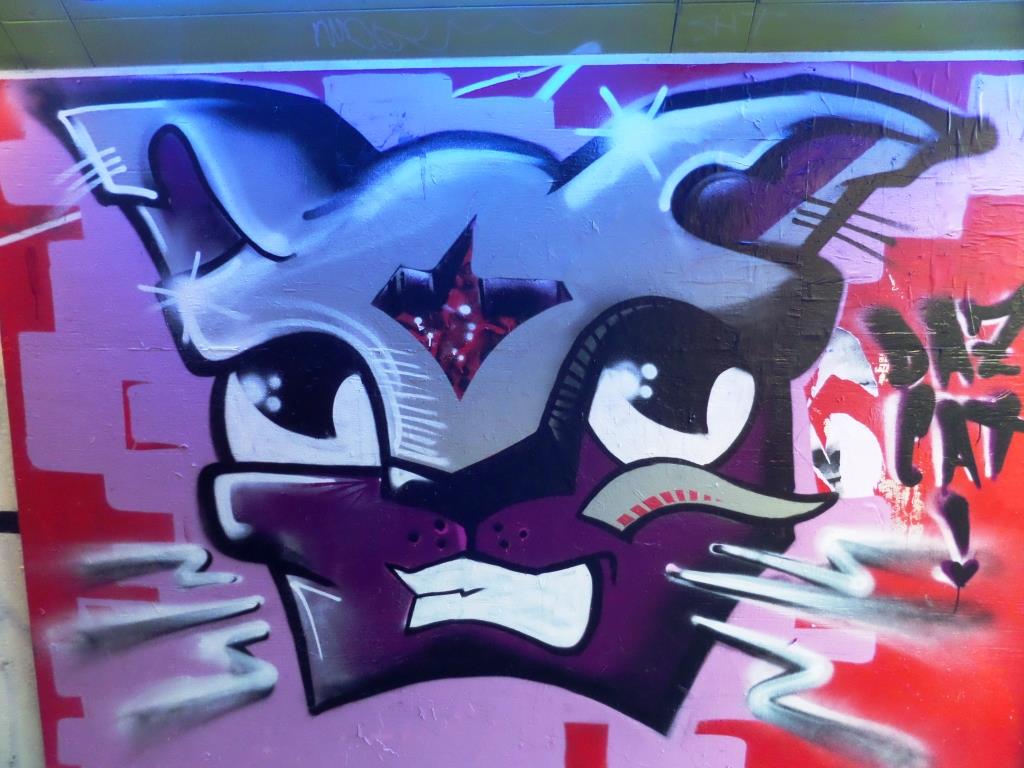 Daz Cat, The Bearpit, Bristol, November 2017