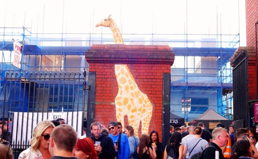 1762. Upfest 2018&nbsp;(56)