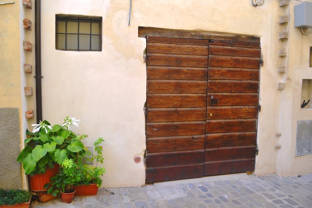 Hosta in a pot and Double door, Citta di Castello, Umbria, Italy
