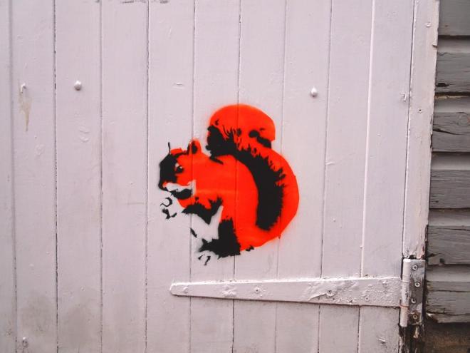 Squirrel by Stewy on a door in the back yard of The Steam Crane