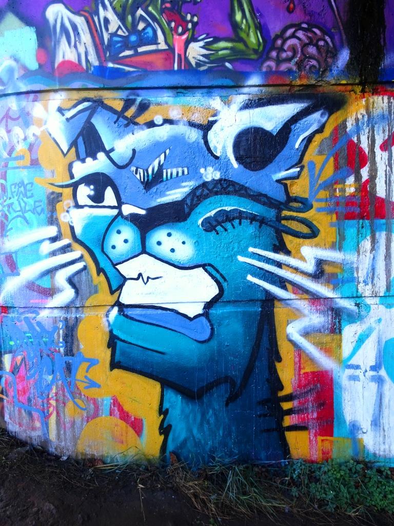 Daz Cat, Cumberland Basin, Bristol, December 2018