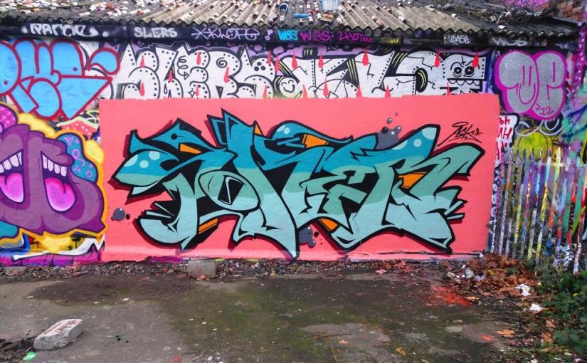 1964. Dean Lane skate park&nbsp;(185)