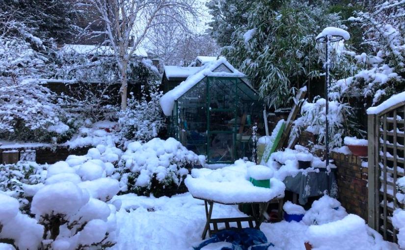 Snow, Bristol, February 2019