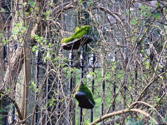 Moss shoes, Haiku, Redland, Bristol, March 2019