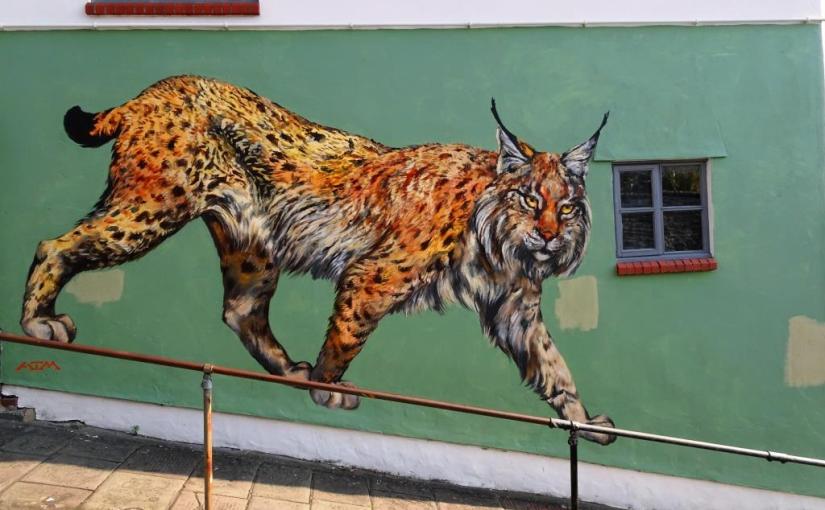 ATM, Spring Hill, Bristol, March 2019