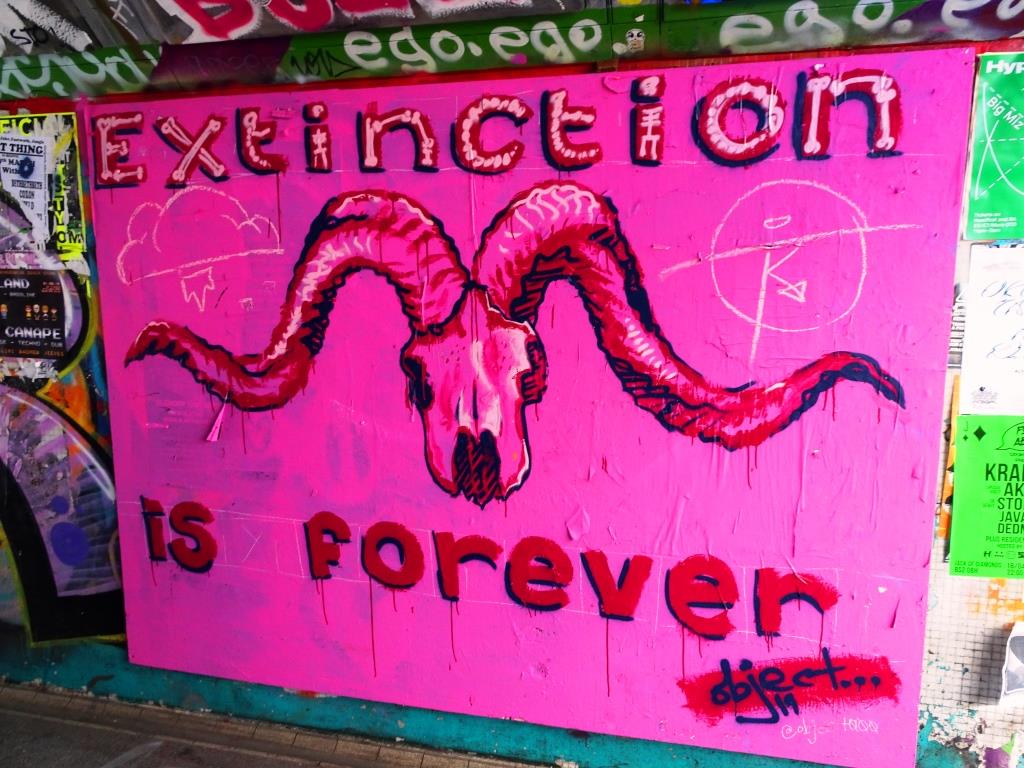 Object..., The Bearpit, Bristol, March 2019