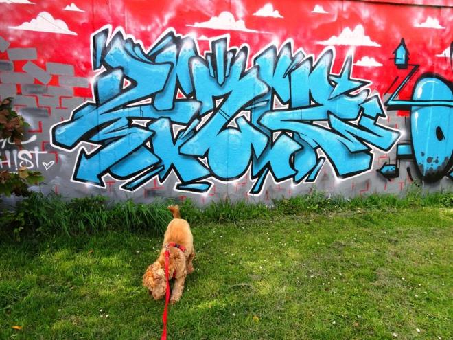 Rezwonk, M32, Bristol, April 2019