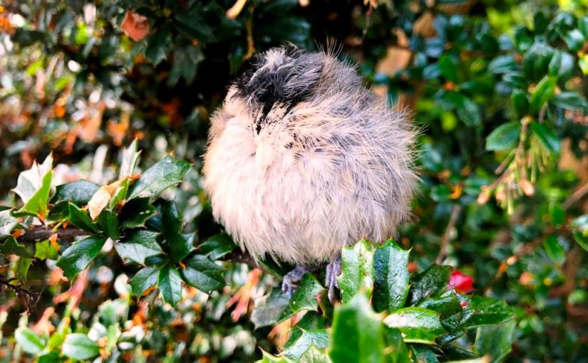 Blessing and a&nbsp;curse