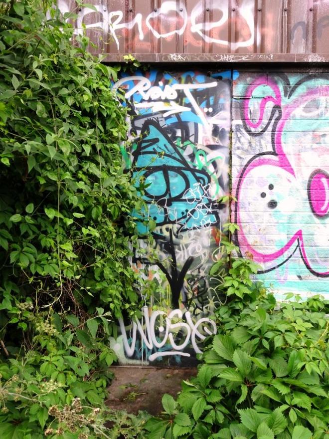 Overgrown fire exit door, River Avon cycle path, Bristol, June 2019