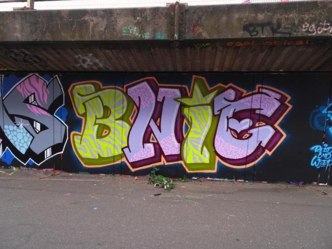 Bnie, M32 cycle path, Bristol, June 2019