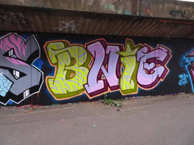 Bnie, M32 cycle path, Bristol, June 2019